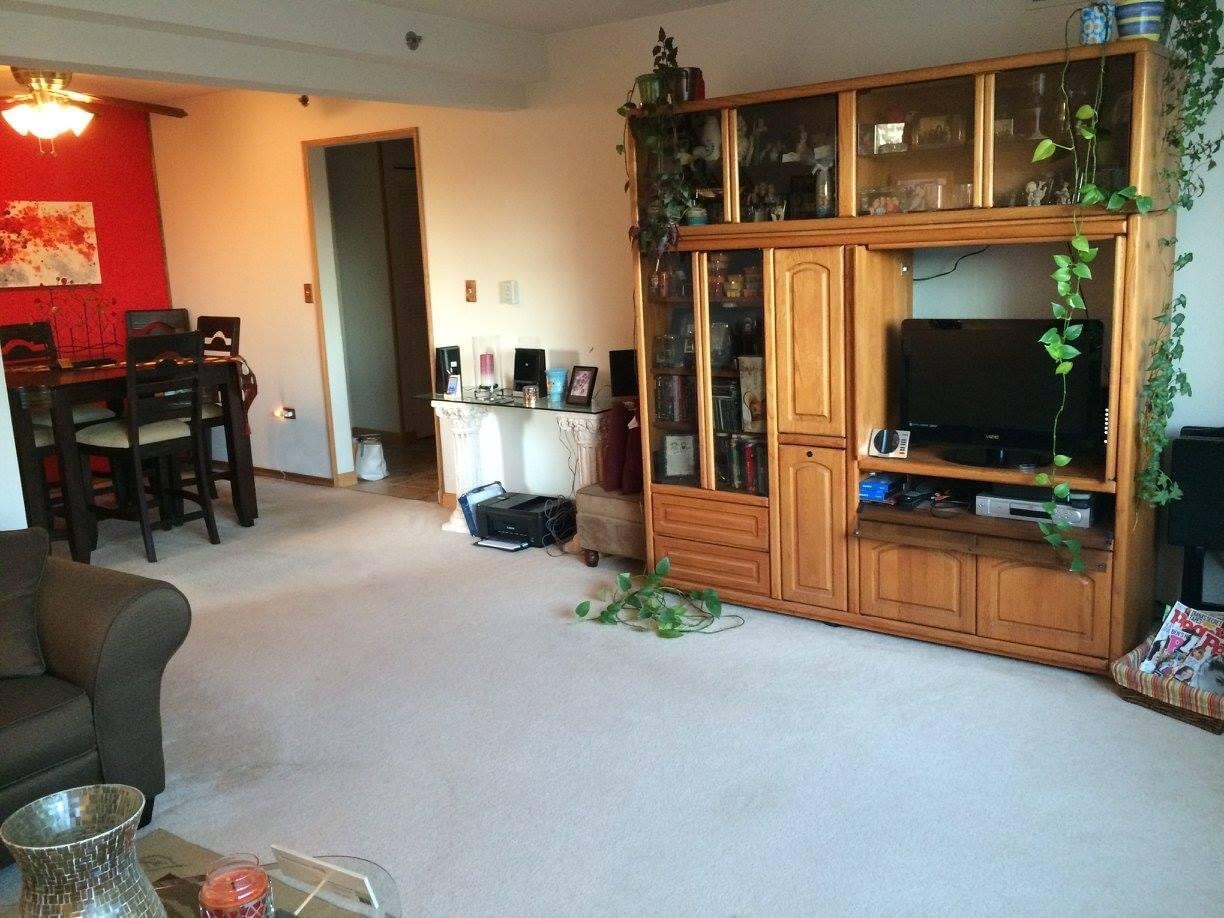 2021 South Wolf Road, Unit 309 Hillside, IL 60162 - Photo 3 of 8