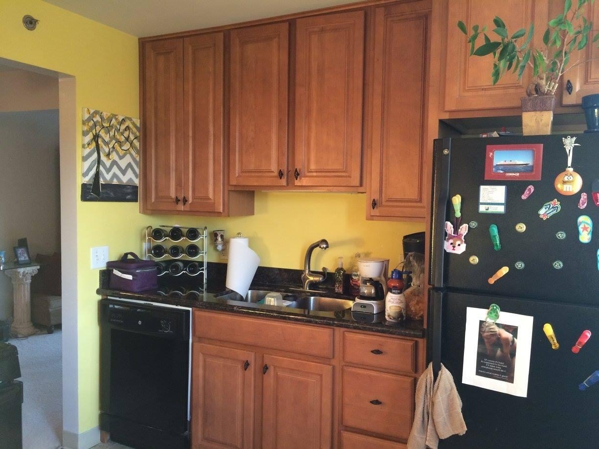 2021 South Wolf Road, Unit 309 Hillside, IL 60162 - Photo 5 of 8