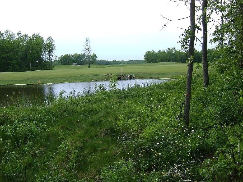 Pond on golf course property