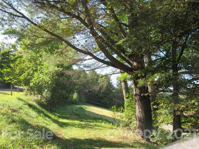 Tbd Ivy Ridge Road, Unit 6 & 7 Burnsville, NC 28714 - Photo 15 of 16 a yard with large trees