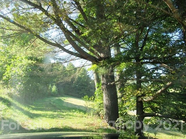 Tbd Ivy Ridge Road, Unit 6 & 7 Burnsville, NC 28714 - Photo 16 of 16 a view of a yard