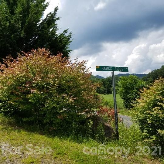Tbd Ivy Ridge Road, Unit 6 & 7 Burnsville, NC 28714 - Photo 4 of 16 a view of a garden
