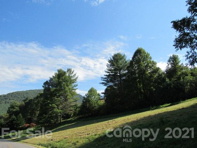 Tbd Ivy Ridge Road, Unit 6 & 7 Burnsville, NC 28714 - Photo 10 of 16 a view of a park