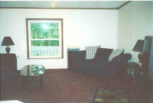 248 Antone Mountain Road Corinth, NY 12822 - Photo 8 of 8 Photo 8