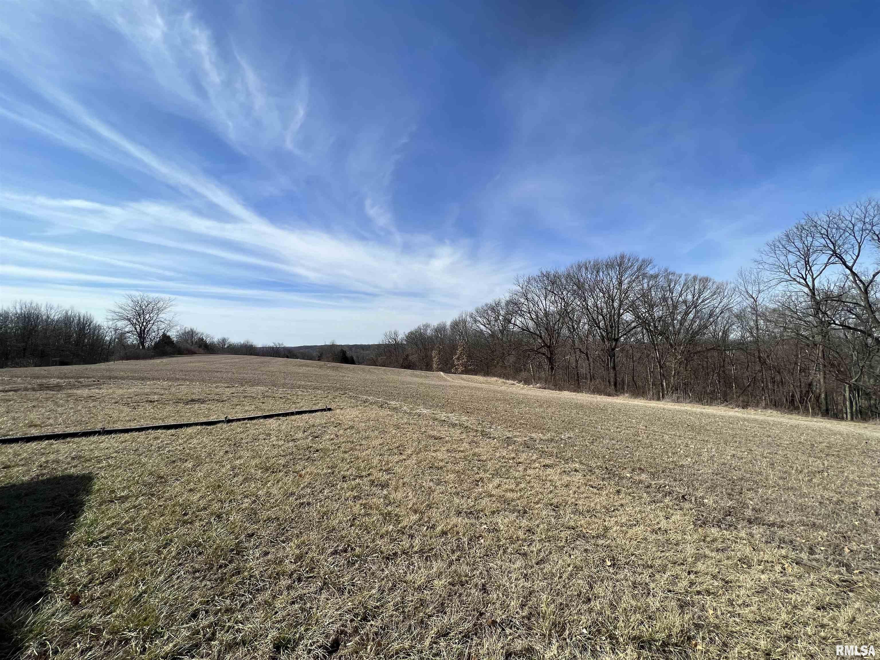 21340 North Roskamp Road Canton, IL 61520 - Photo 6 of 15 Gallery Image 6