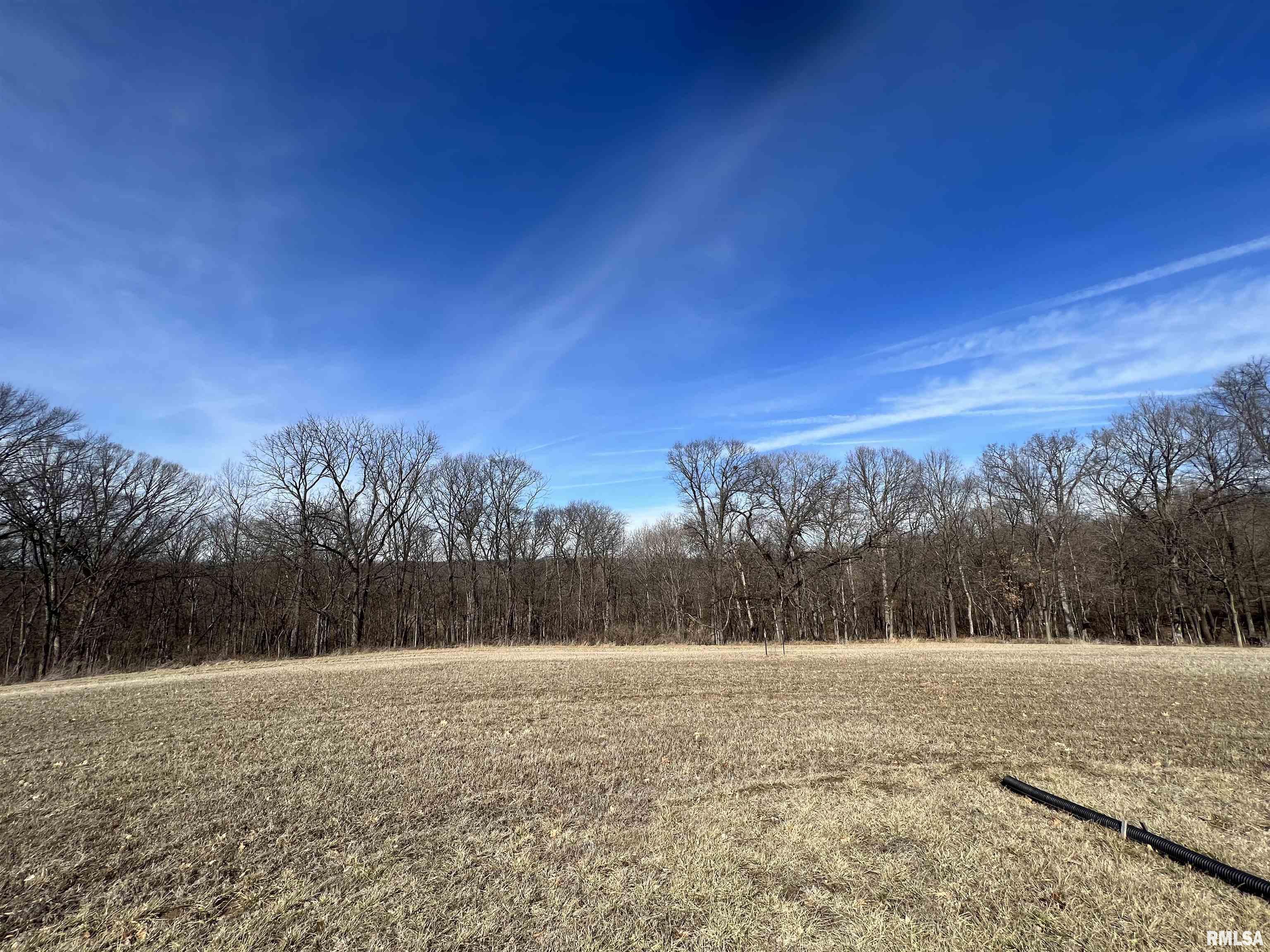 21340 North Roskamp Road Canton, IL 61520 - Photo 7 of 15 Gallery Image 7
