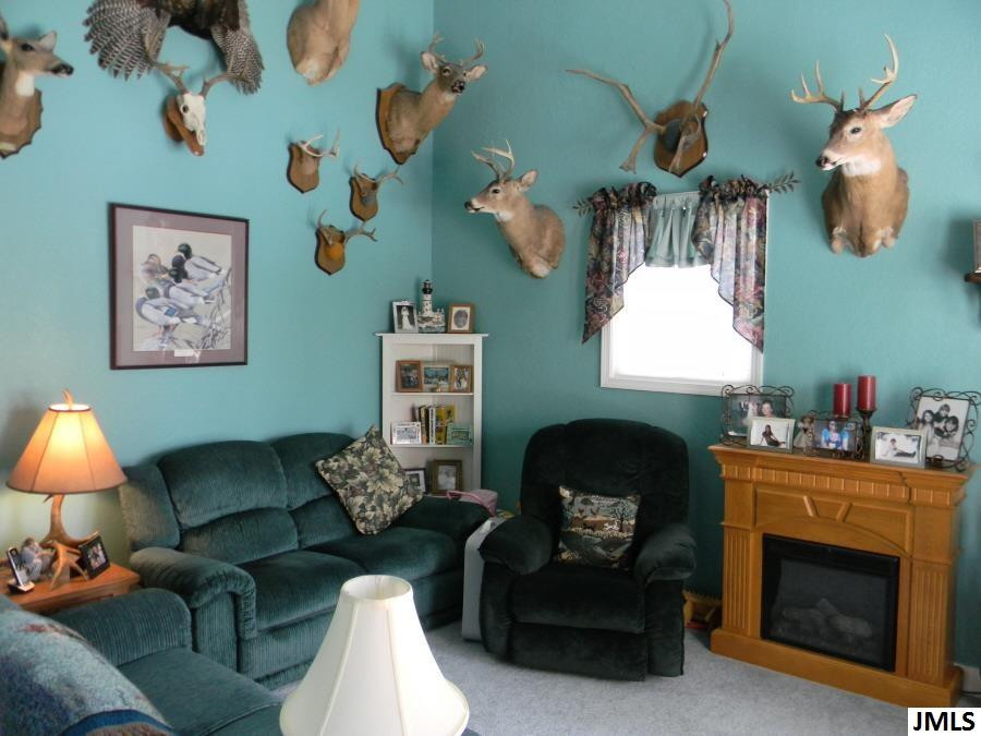 282 North Ridge Road Brooklyn, MI 49230 - Photo 7 of 23 Photo 7