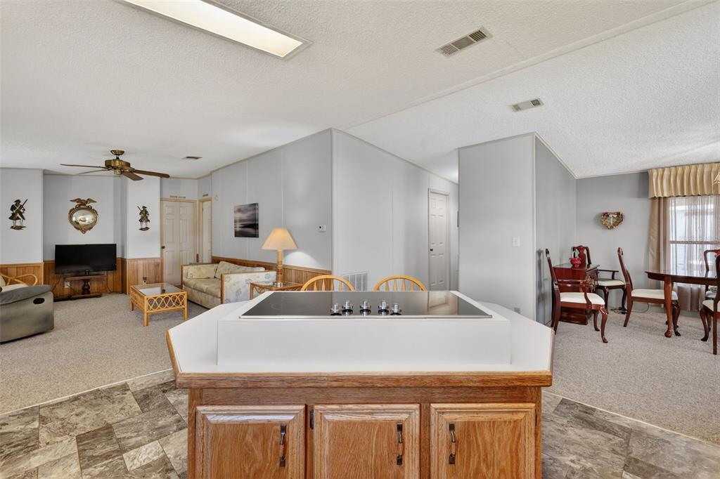 3211 Wekiva Road Tavares, FL 32778 - Photo 18 of 39 a living room with furniture and fireplace