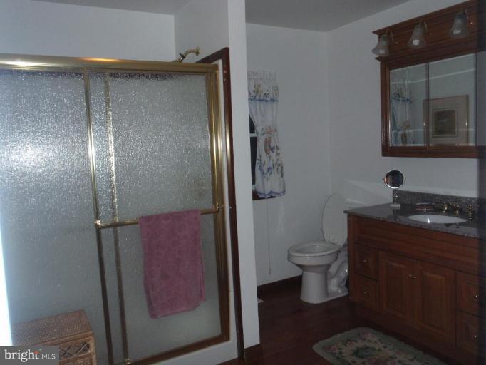4034 Old Rocks Road Street, MD 21154 - Photo 10 of 10 Master Bath