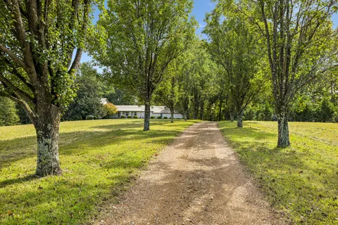 a view of a swimming pool with a yard