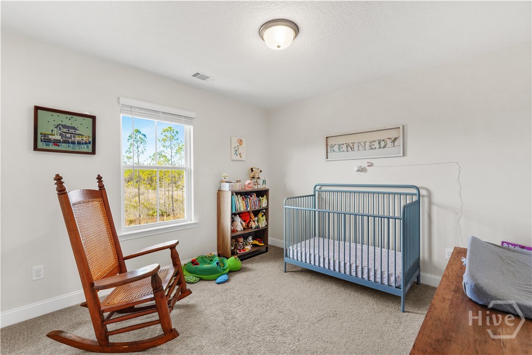 173 Mcclelland Loop Northeast Ludowici, GA 31316 - Photo 37 of 48