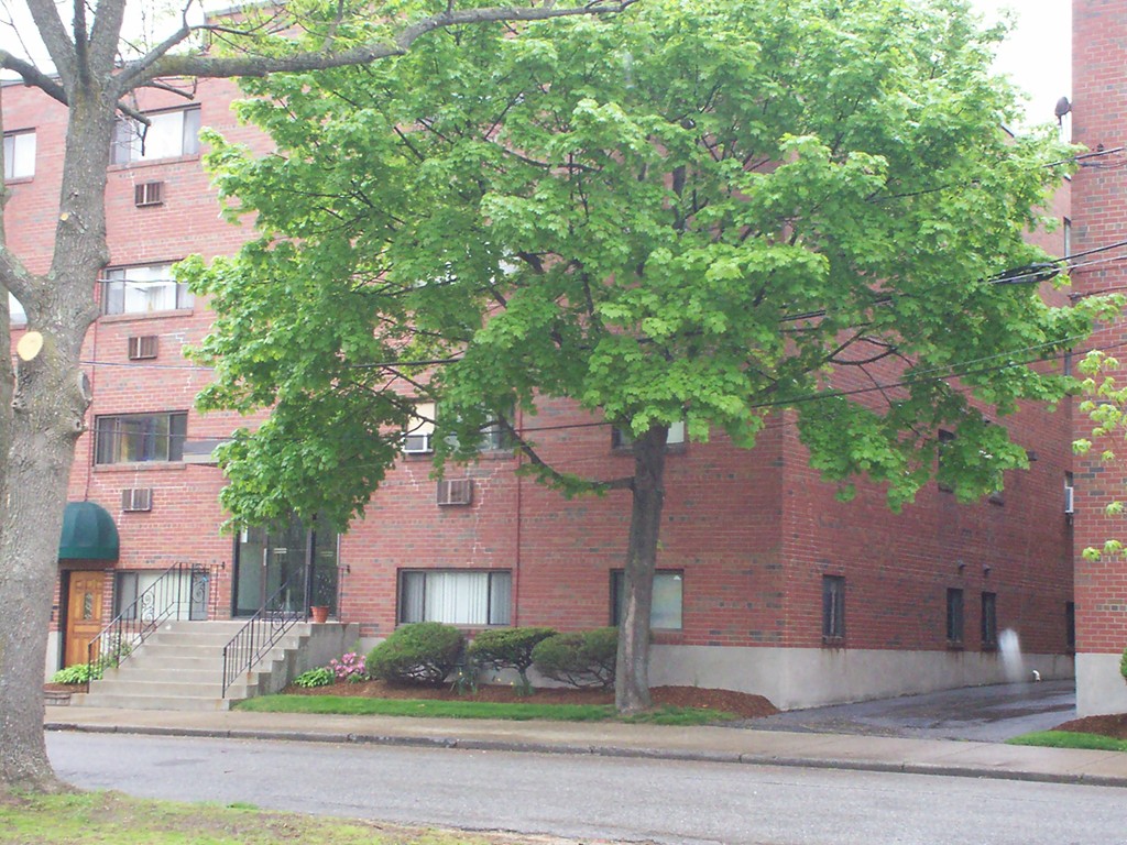 20 Riverside Street, Unit 16 Watertown, MA 02472 - Photo 9 of 10 Gallery Image 9