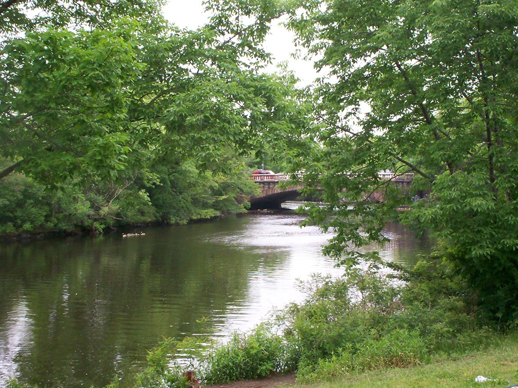 20 Riverside Street, Unit 16 Watertown, MA 02472 - Photo 10 of 10 Gallery Image 10