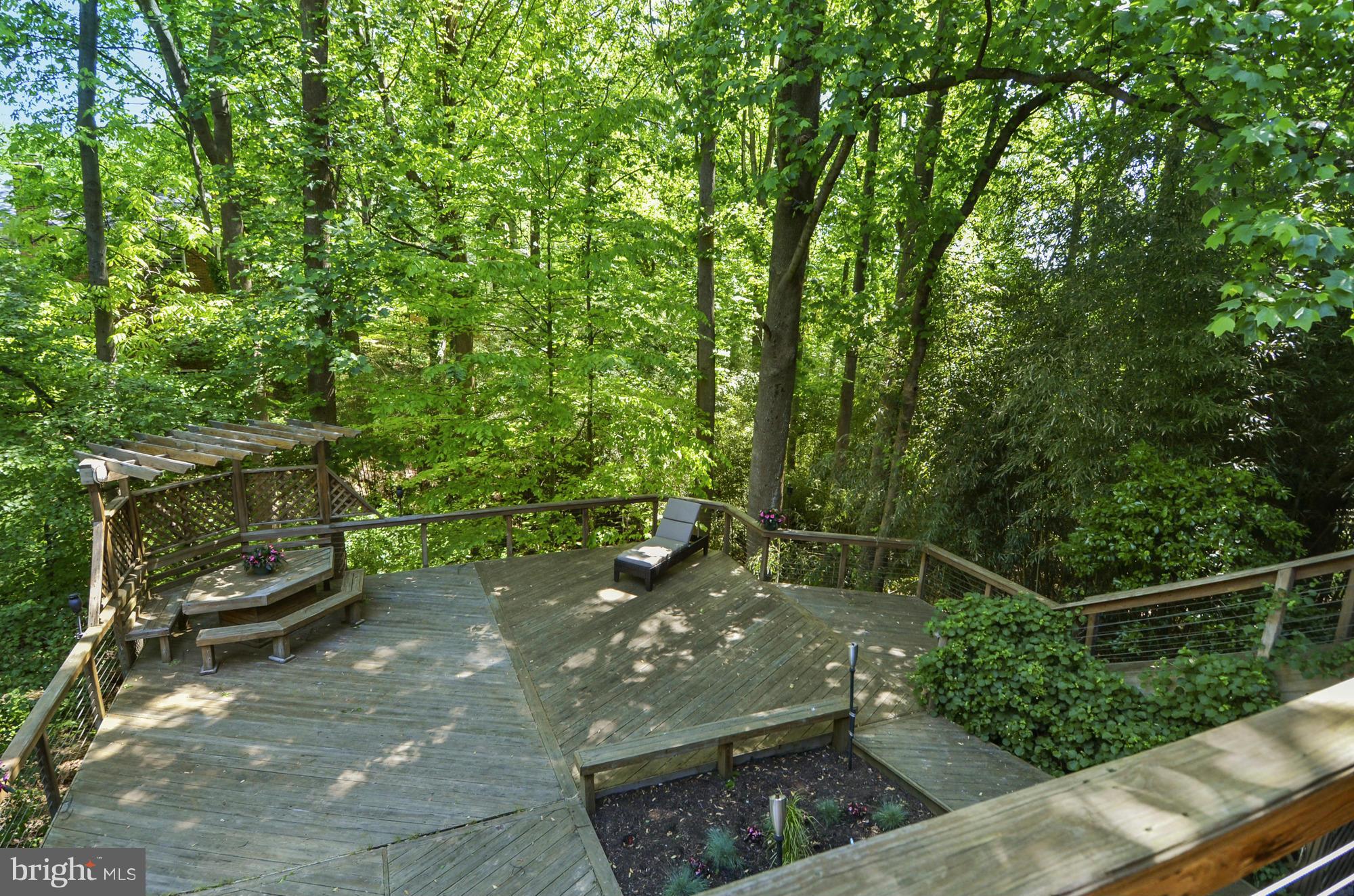 7508 Hamilton Spring Road Bethesda, MD 20817 - Photo 17 of 23 Exterior (General)