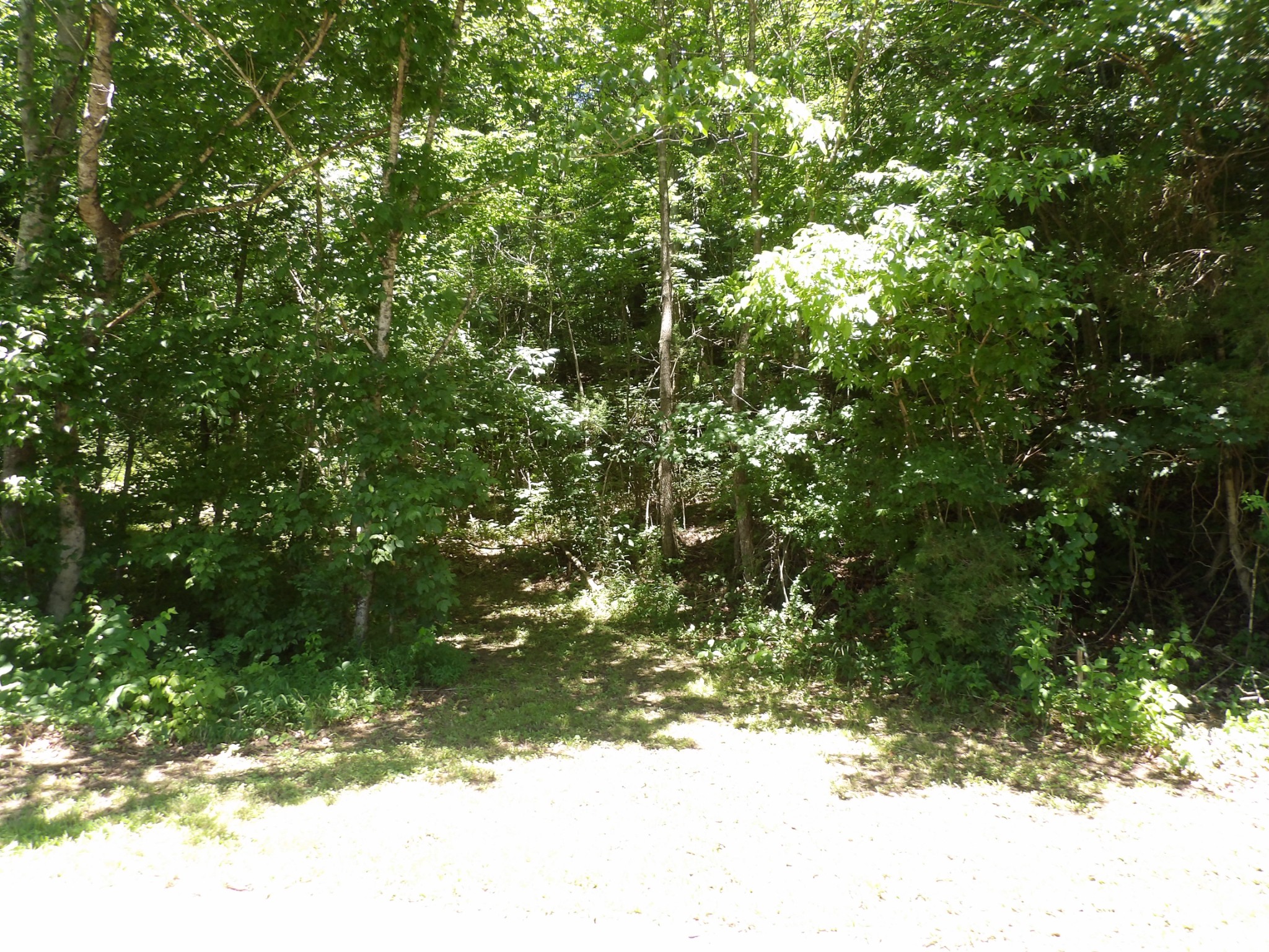 587 West Little Richland Road Waverly, TN 37185 - Photo 12 of 26