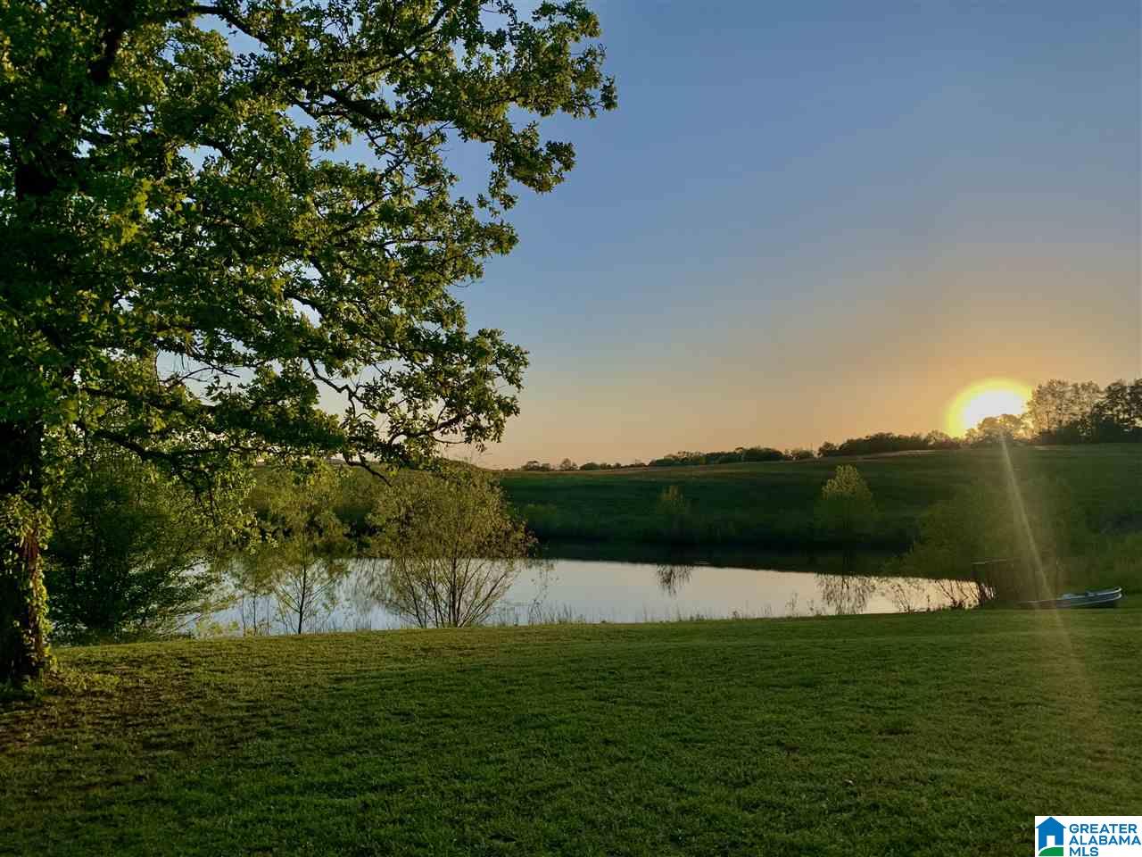 198 Posey Road Blountsville, AL 35031 - Photo 1 of 1