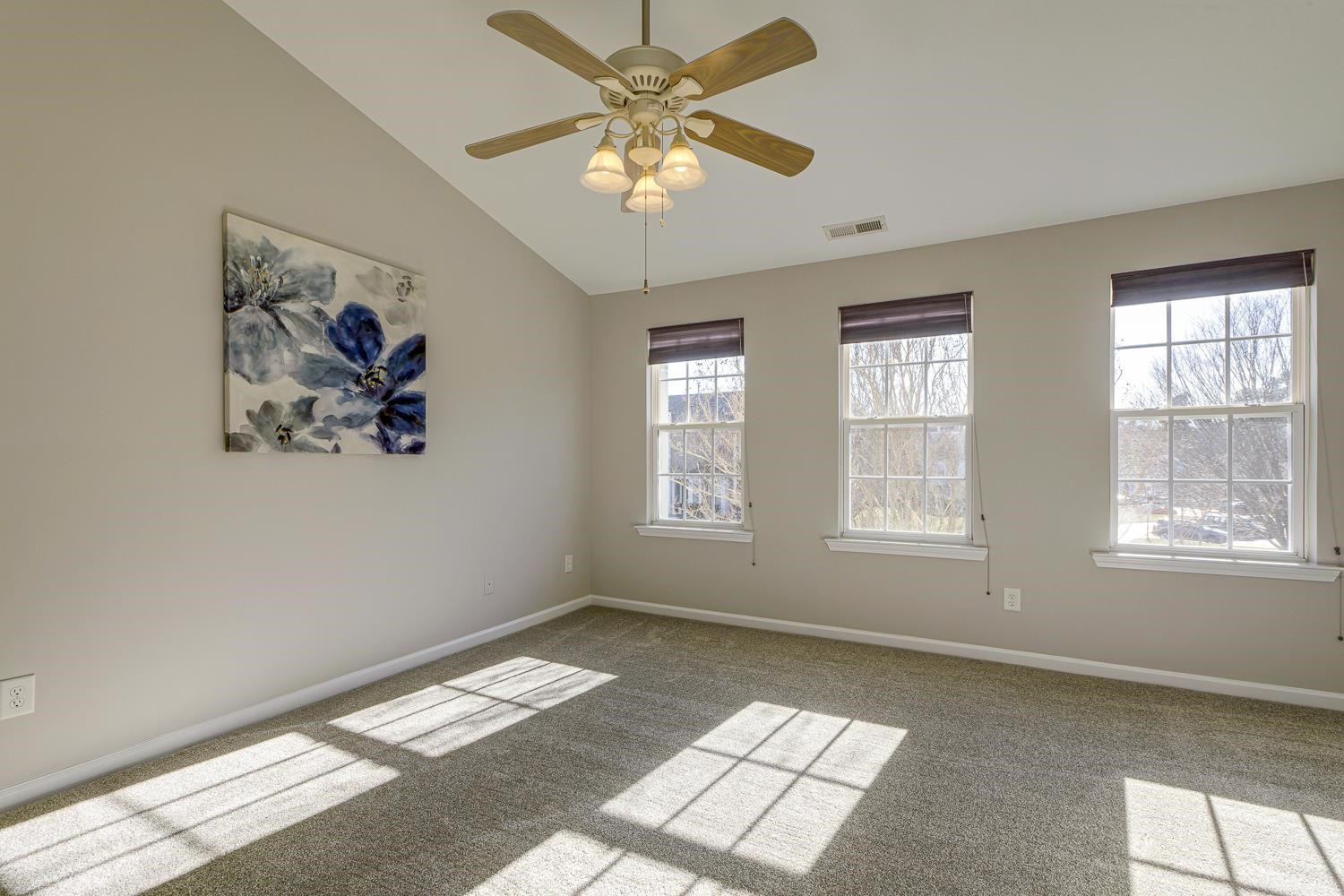 142 Cedar Elm Road Durham, NC 27713 - Photo 12 of 27 Owner's Suite