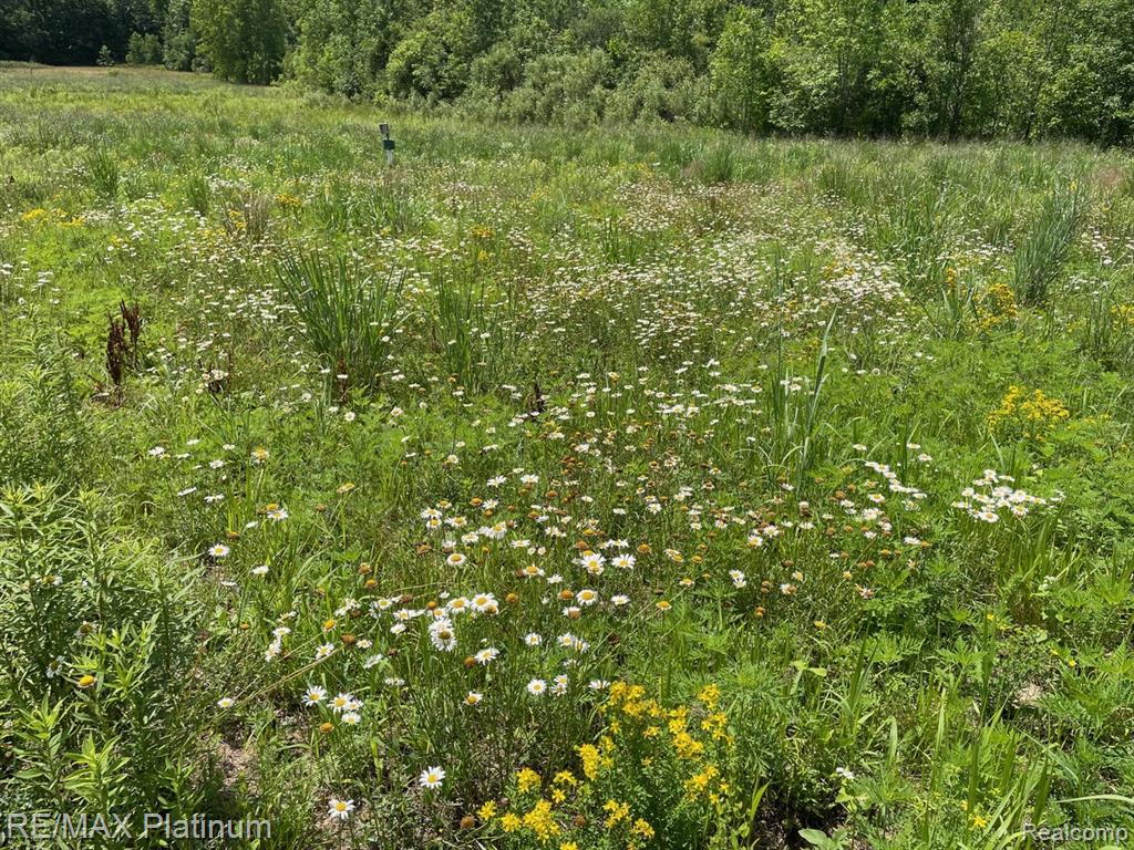 5245 North Fleming Road Fowlerville, MI 48836 - Photo 49 of 57 Gallery Image 49