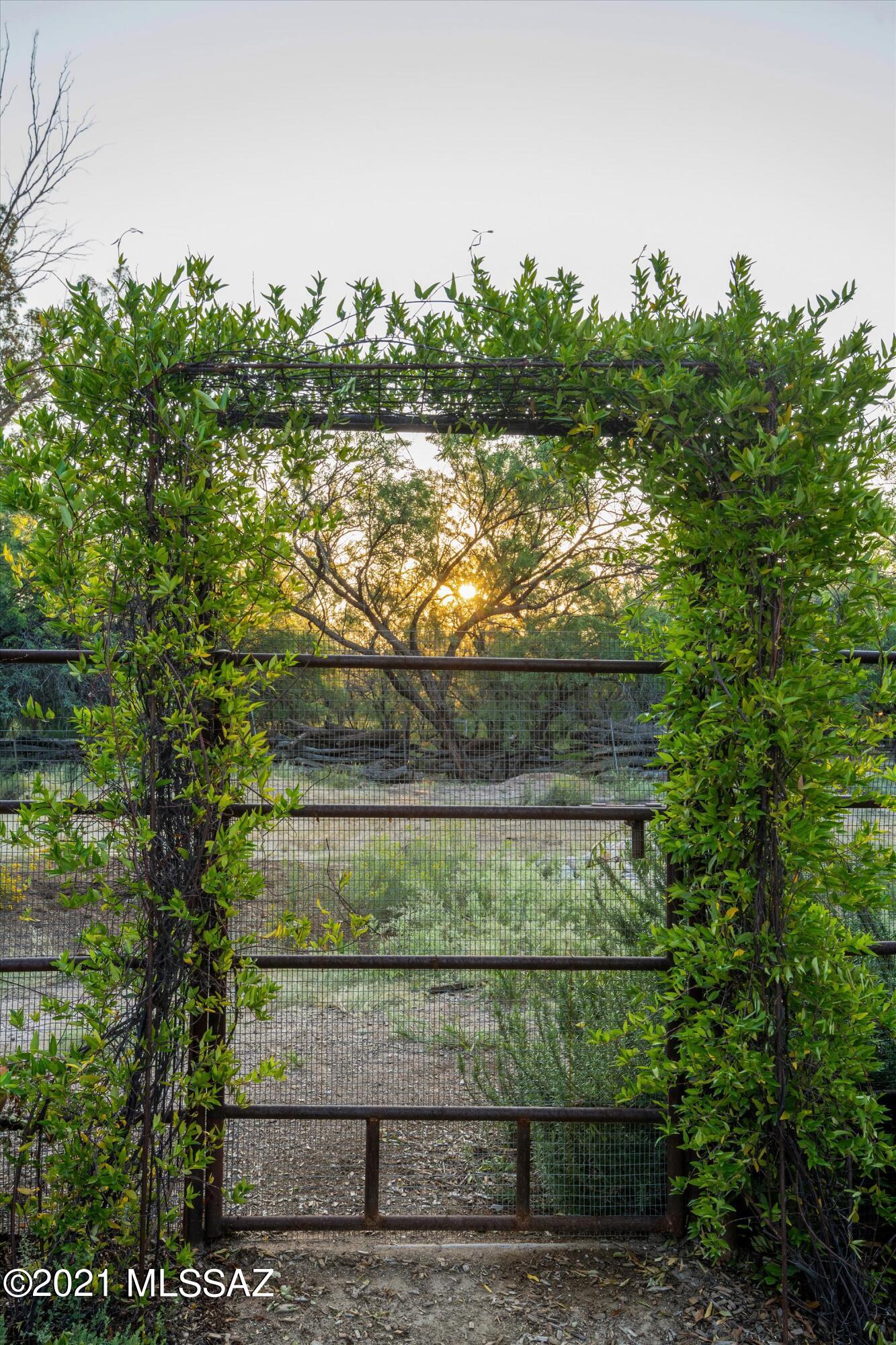 8550 East Snyder Road Tucson, AZ 85750 - Photo 48 of 50
