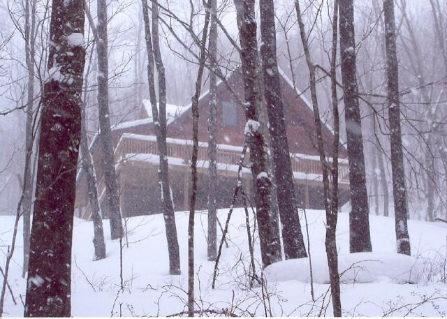 21 Upper Cherry Grove Road Slatyfork, WV 26291 - Photo 40 of 41 Gallery Image 40