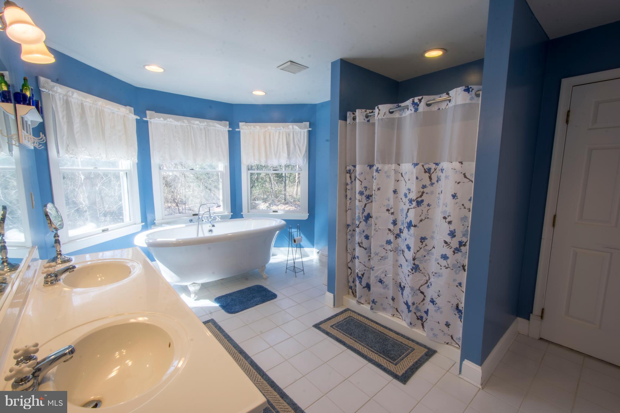 188 Waldo Road Pasadena, MD 21122 - Photo 14 of 29 Owners En-Suite Bathroom -Seperate Shower and Tub