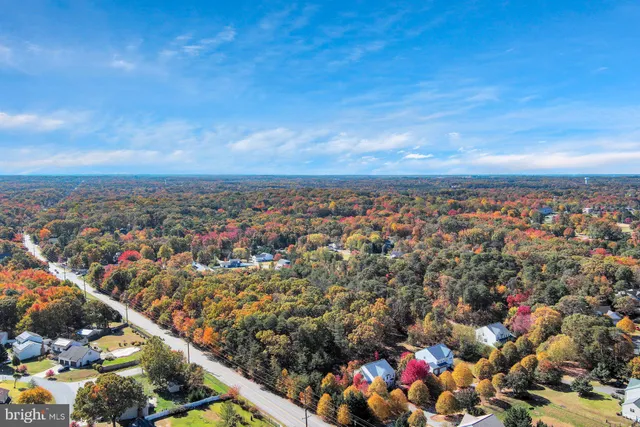 a view of a bunch of flowers