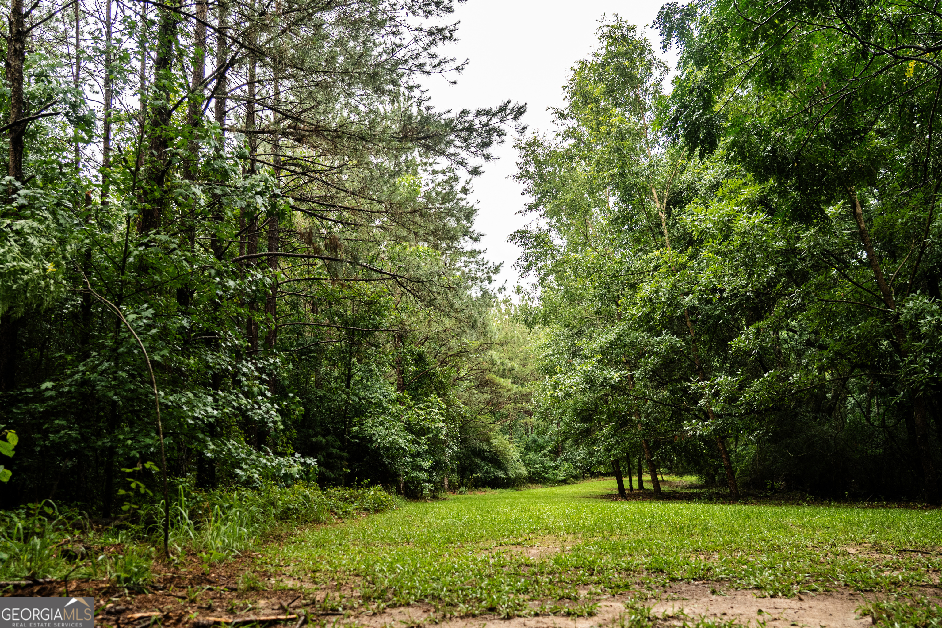 990 Highway 49 Americus, GA 31719 - Photo 57 of 121
