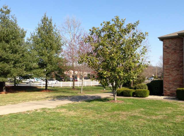 2102 Spring Hill Circle Spring Hill, TN 37174 - Photo 3 of 19