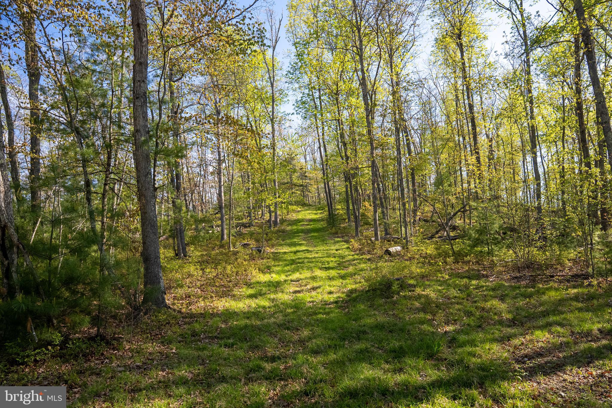 199 Green Bank Road Arbovale, WV 24915 - Photo 73 of 113