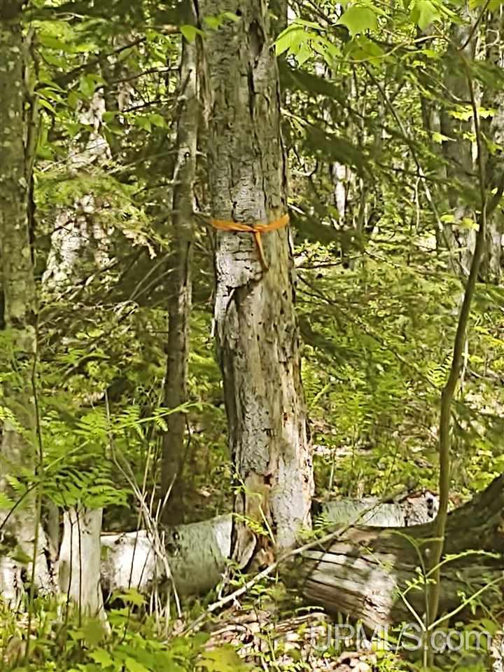 Tbd-parcel Point Abbaye Road Lanse, MI 49946 - Photo 14 of 25