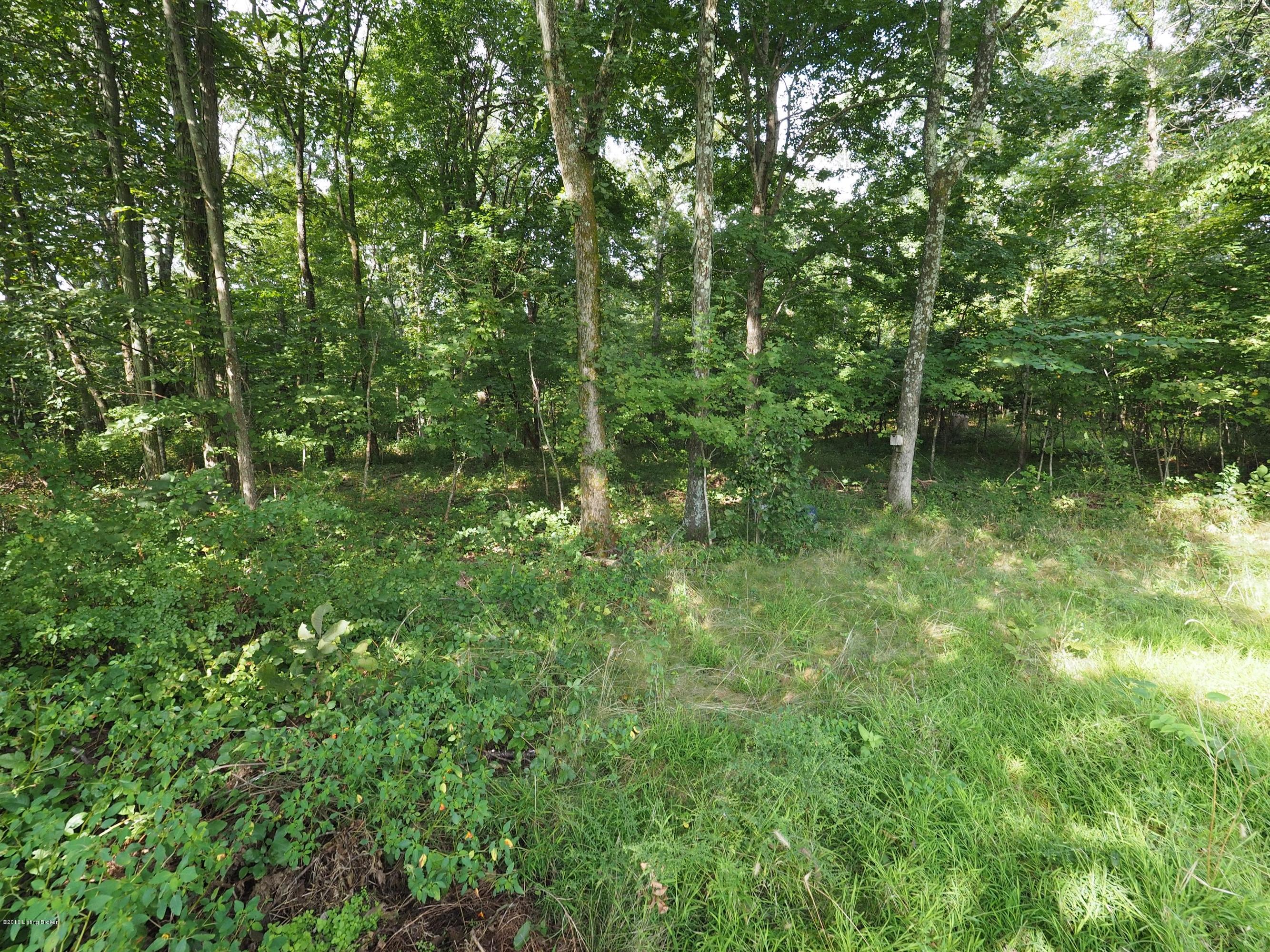 764 Drake Ridge Road Bloomfield, KY 40008 - Photo 18 of 26 woods