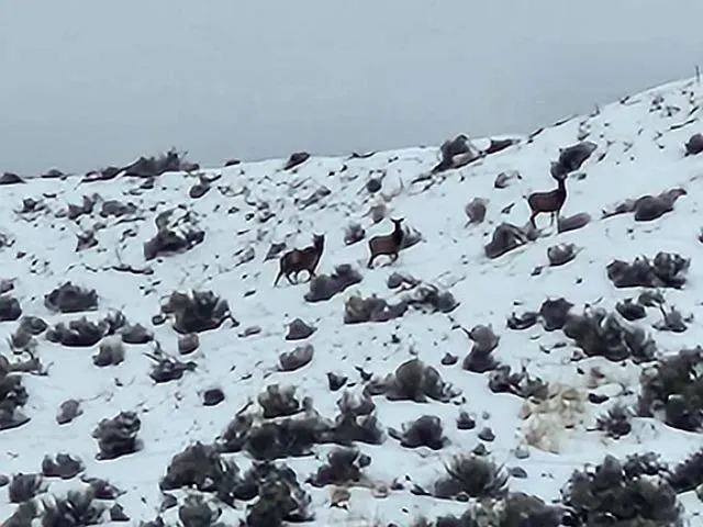 a large building with lots of snow on the wall