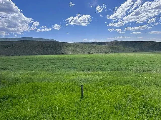 a view of an outdoor space and a yard