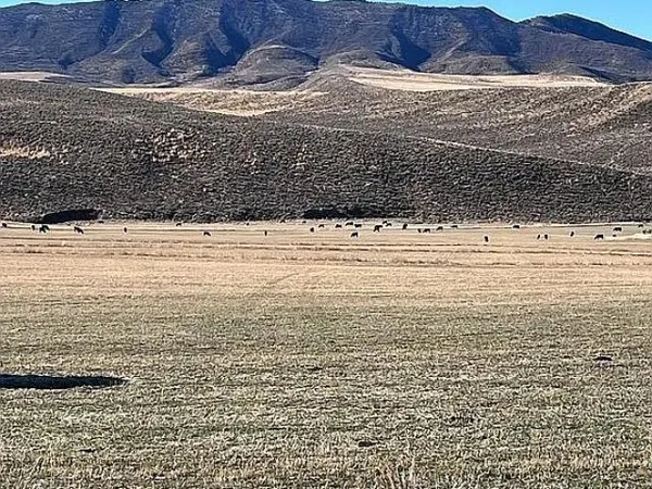 $1,200,000 | 3719 County Road 45, Hamilton, CO 81638