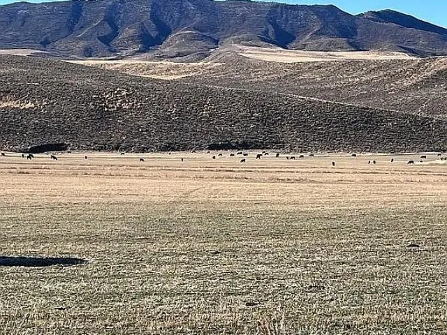 $1,200,000 | 3719 County Road 45, Hamilton, CO 81638