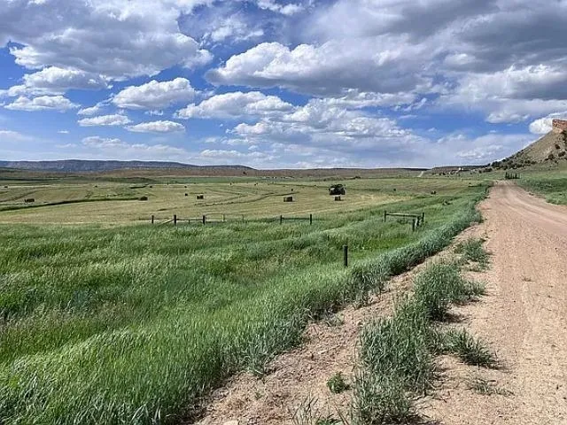 a view of a city with lush green forest