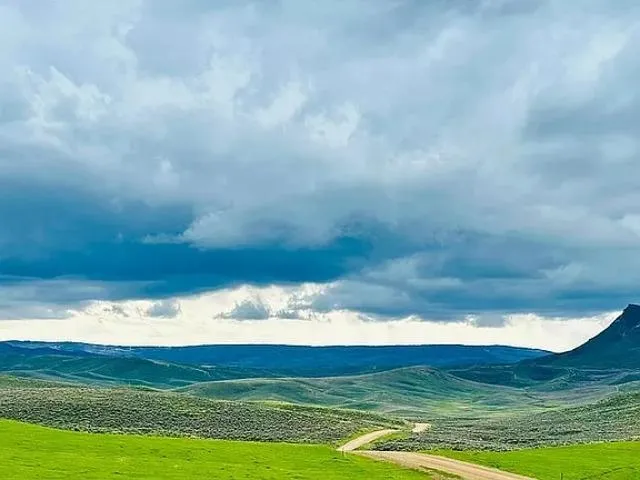 a view of ocean with green space