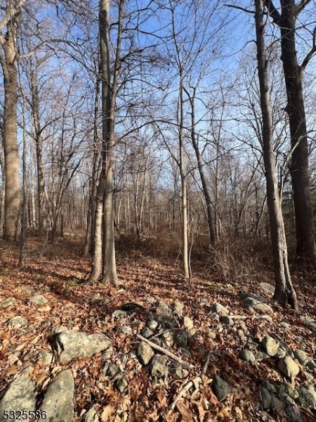 3 A Old Bilby Road Hackettstown, NJ 07840 - Photo 2 of 3 a backyard of a house with lots of green space