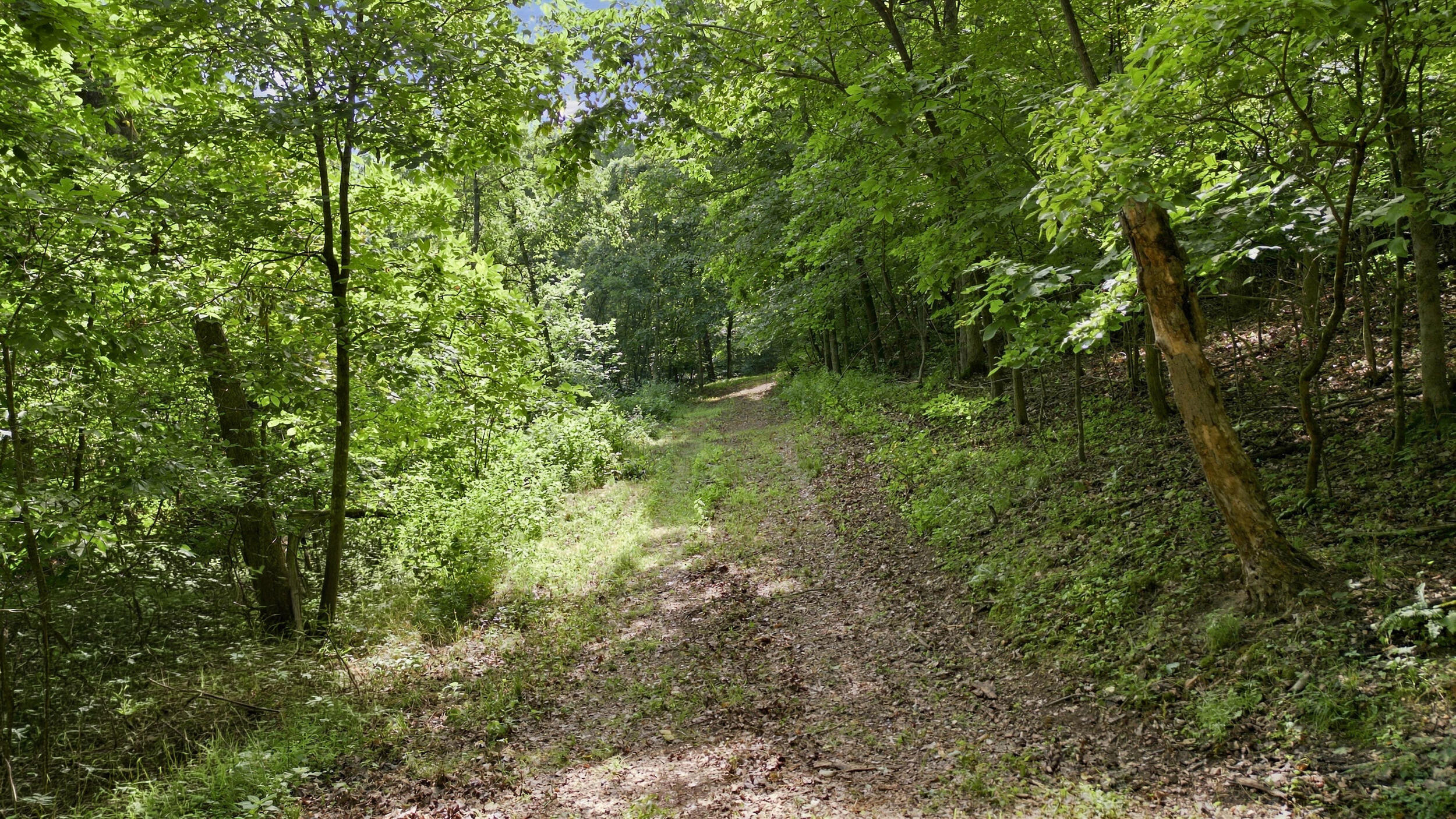 24709 Wolfe Road Washburn, MO 65772 - Photo 45 of 50 43_dji_0030