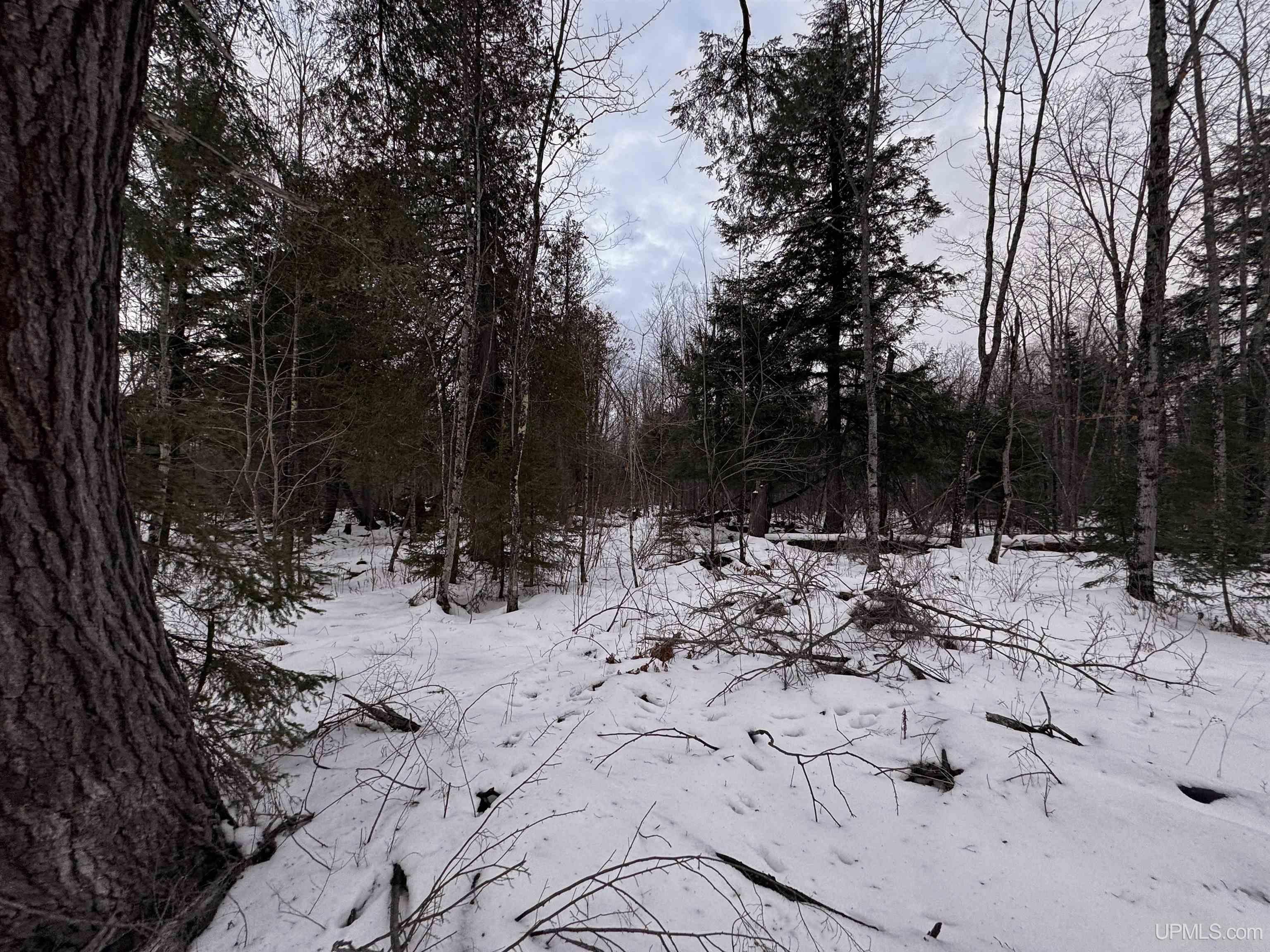 Tbd40 St Cyr Road Skanee, MI 49962 - Photo 2 of 16 Gallery Image 2