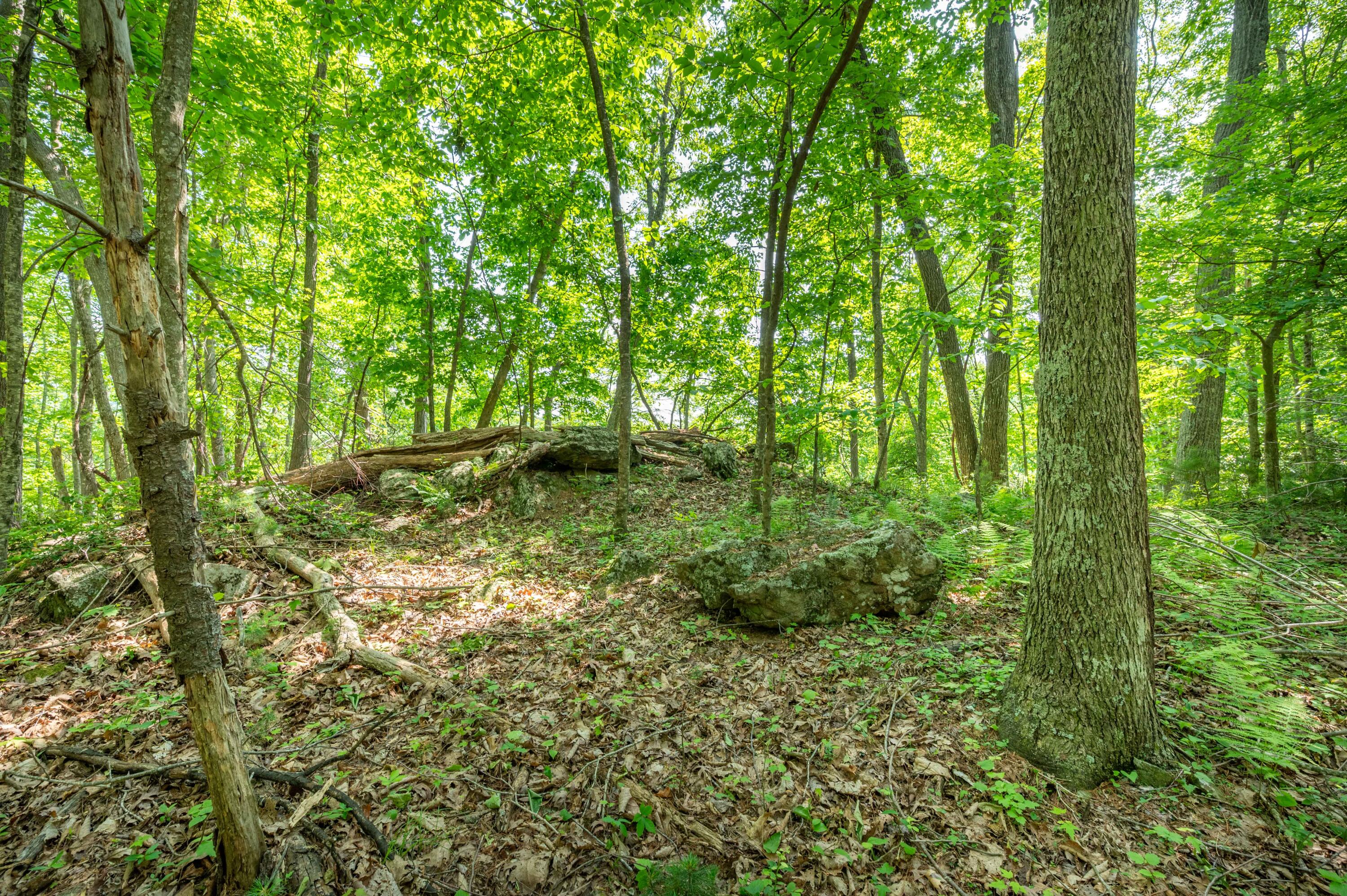 1073 Timberline Road Southeast Copper Hill, VA 24079 - Photo 28 of 56 27