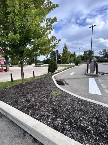 a view of a backyard