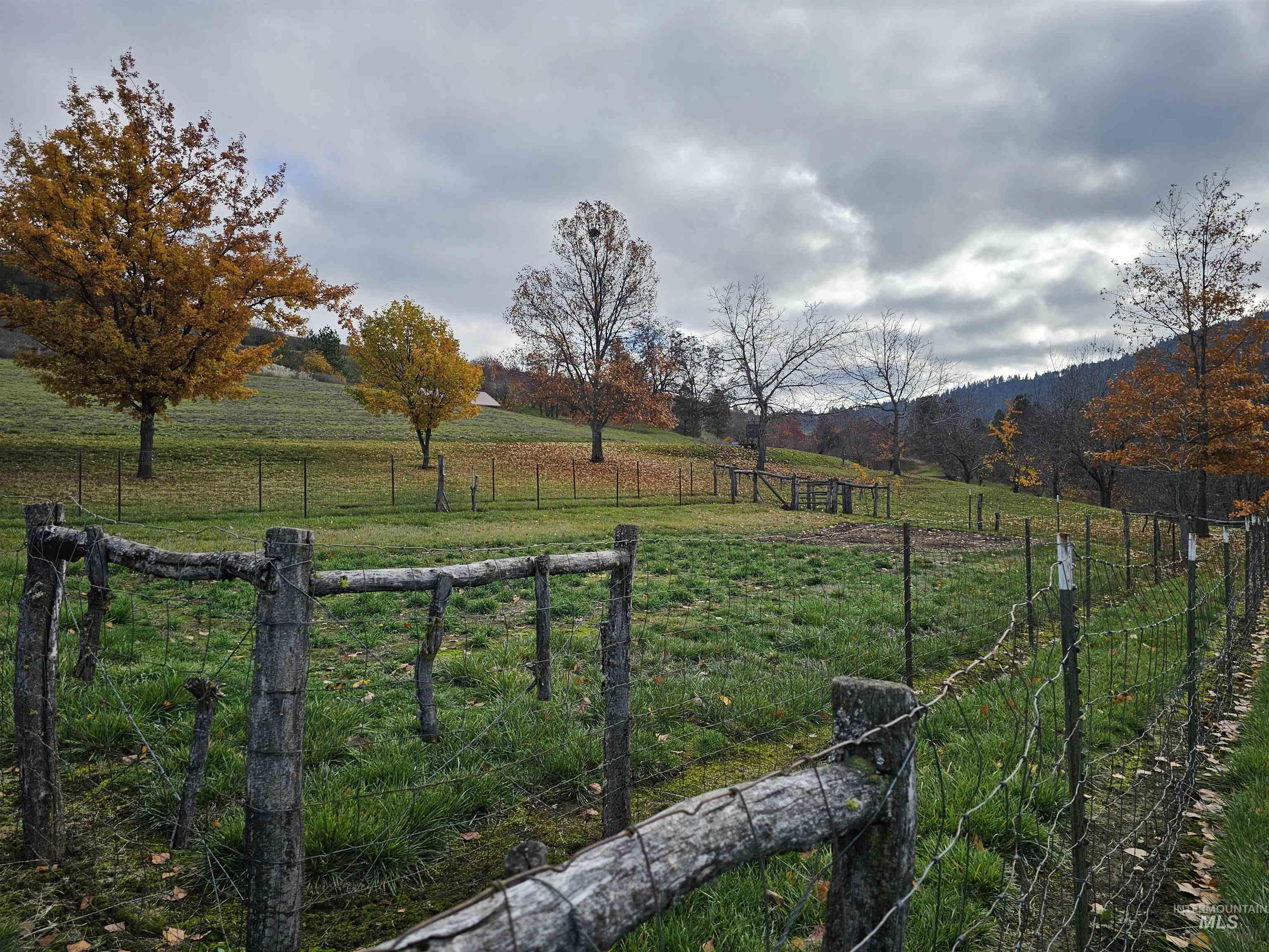 20044 Orchard Lane Lenore, ID 83541 - Photo 32 of 50