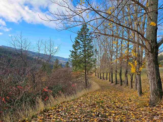 $850,000 | 20044 Orchard Lane, Lenore, ID 83541
