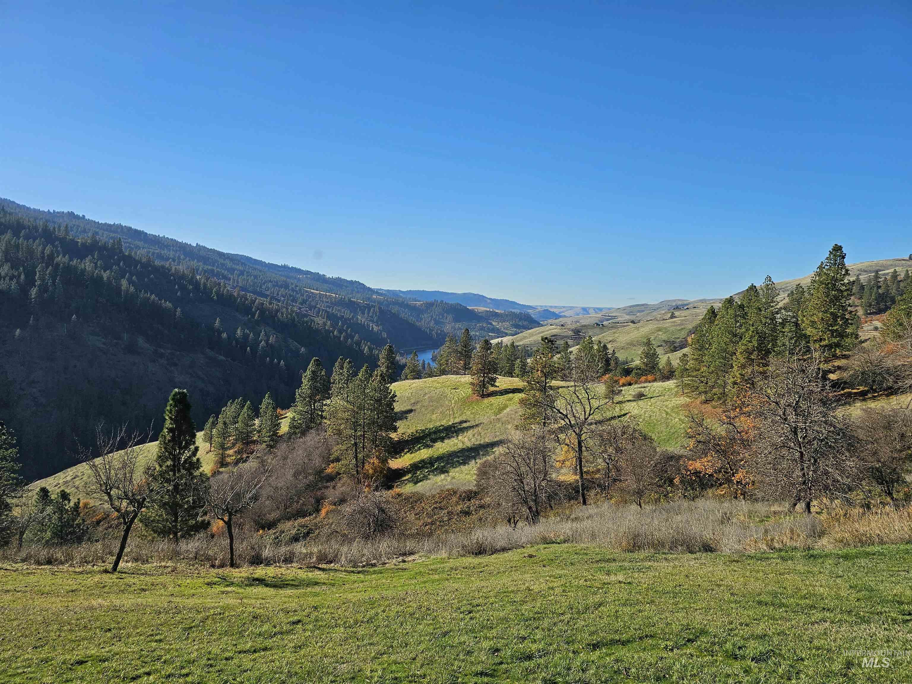 20044 Orchard Lane Lenore, ID 83541 - Photo 35 of 50