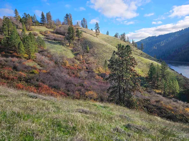 $850,000 | 20044 Orchard Lane, Lenore, ID 83541