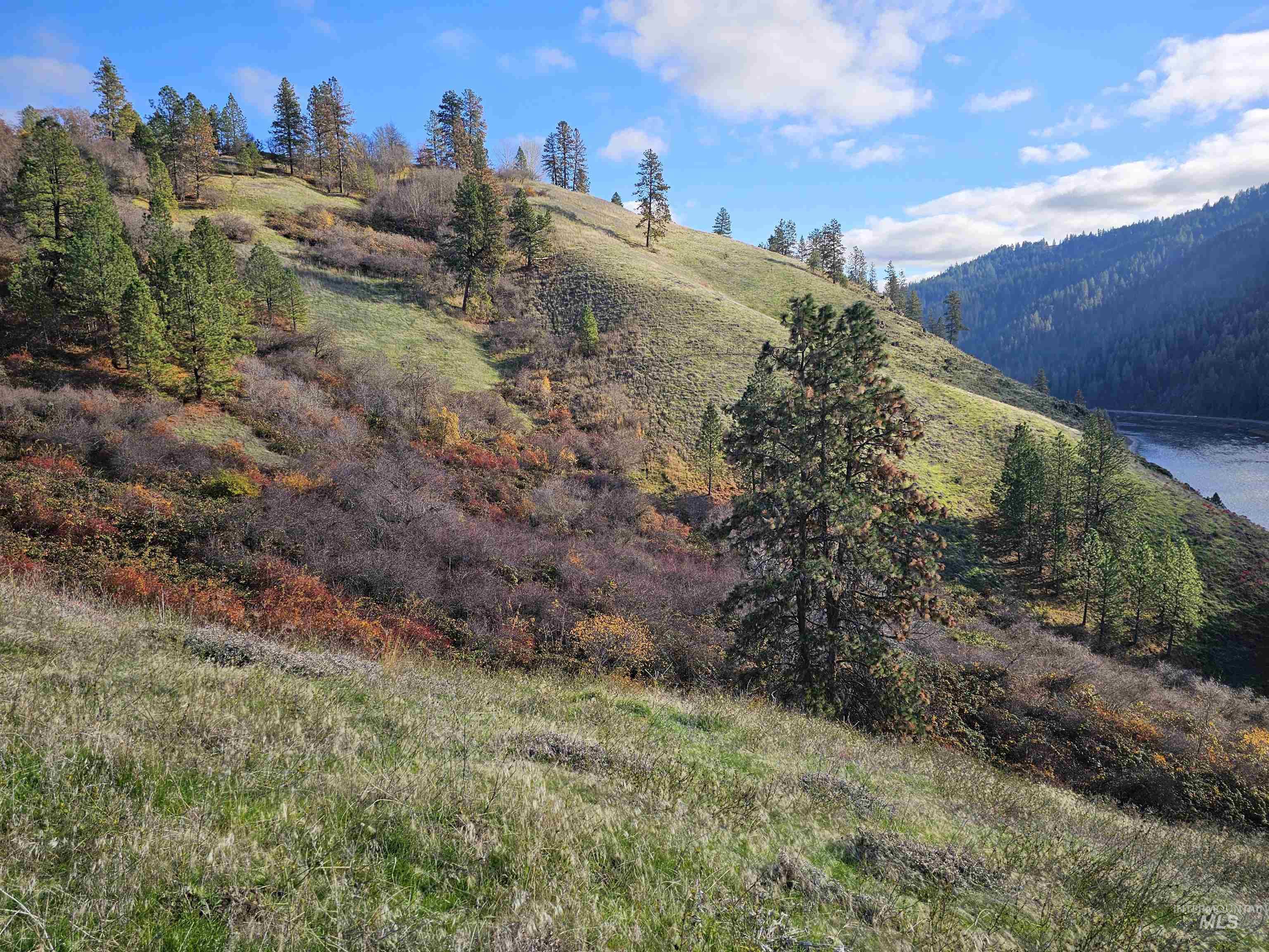 20044 Orchard Lane Lenore, ID 83541 - Photo 38 of 50