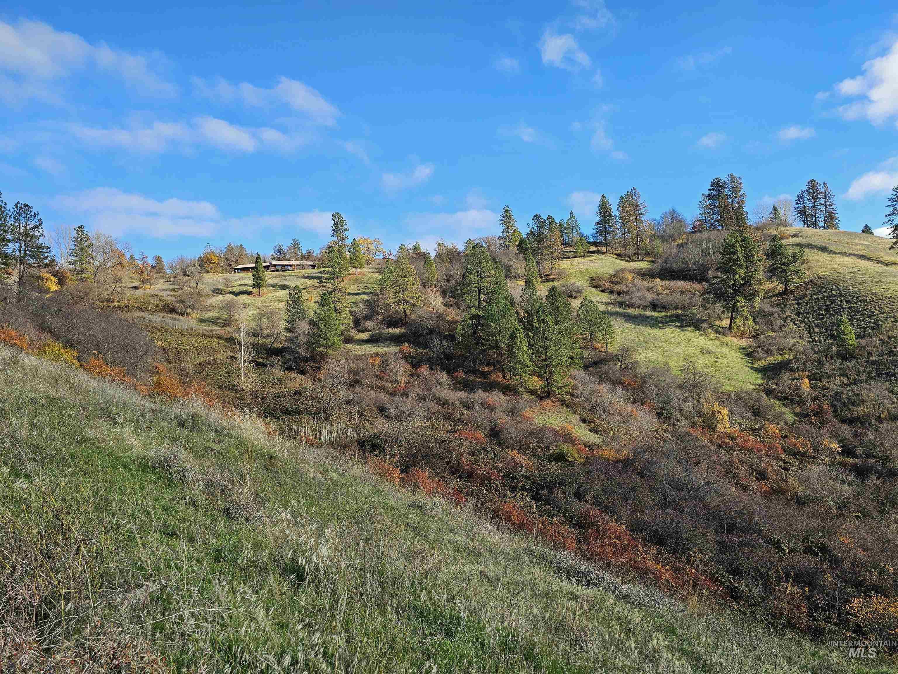 20044 Orchard Lane Lenore, ID 83541 - Photo 39 of 50