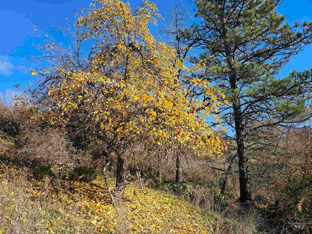 $850,000 | 20044 Orchard Lane, Lenore, ID 83541