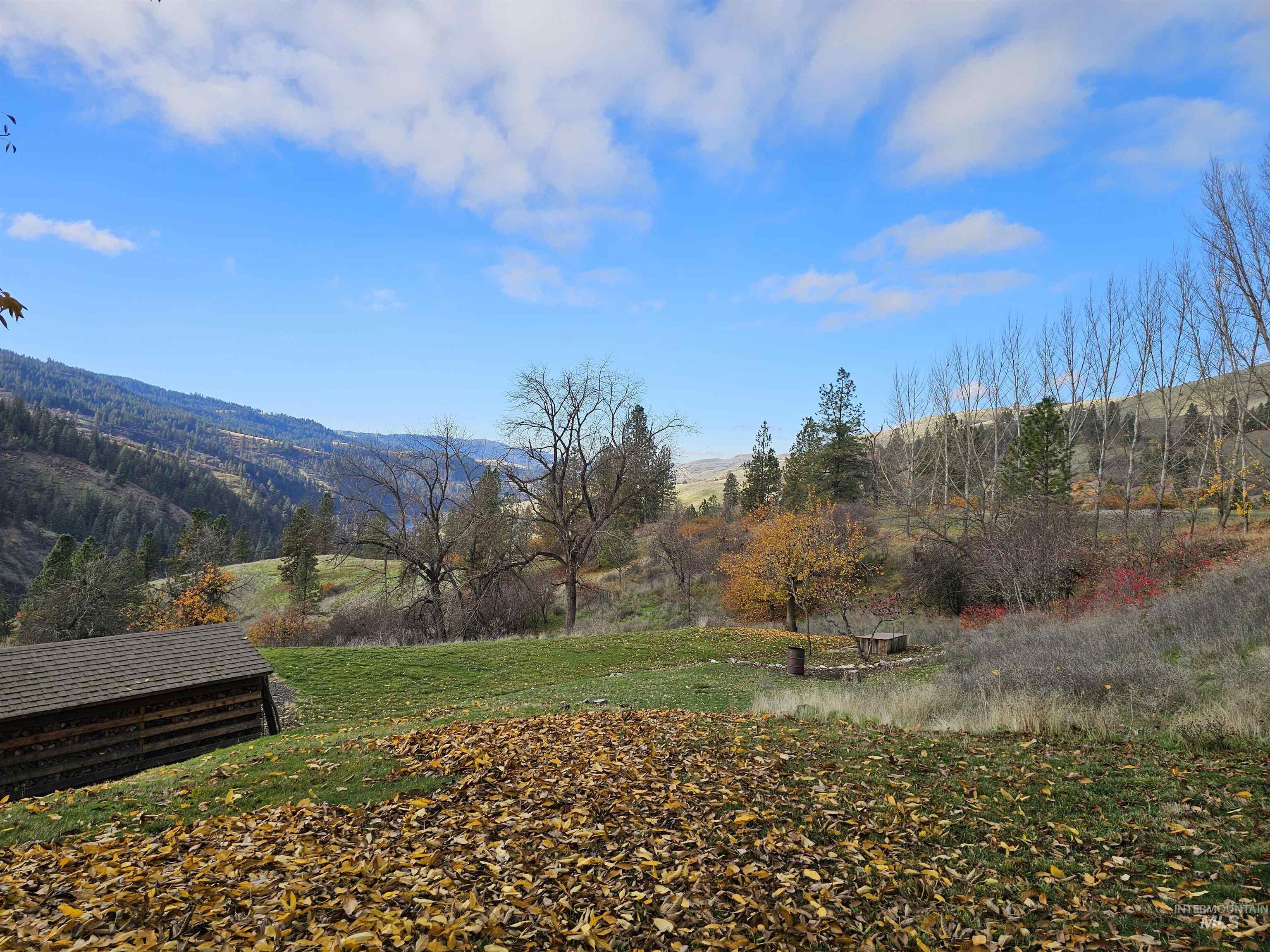 20044 Orchard Lane Lenore, ID 83541 - Photo 43 of 50